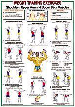 Shoulders-Upper Arm/Back Muscles Chart